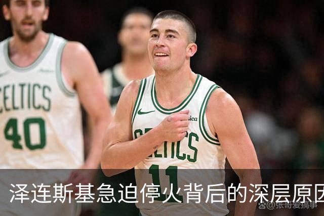泽连斯基急迫停火背后的深层原因：乌克兰供应链已岌岌可危